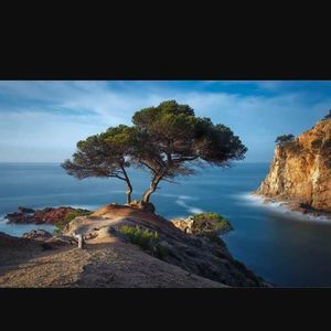 Meet your Posher, Celina